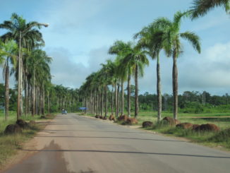 Auto rijden in Suriname